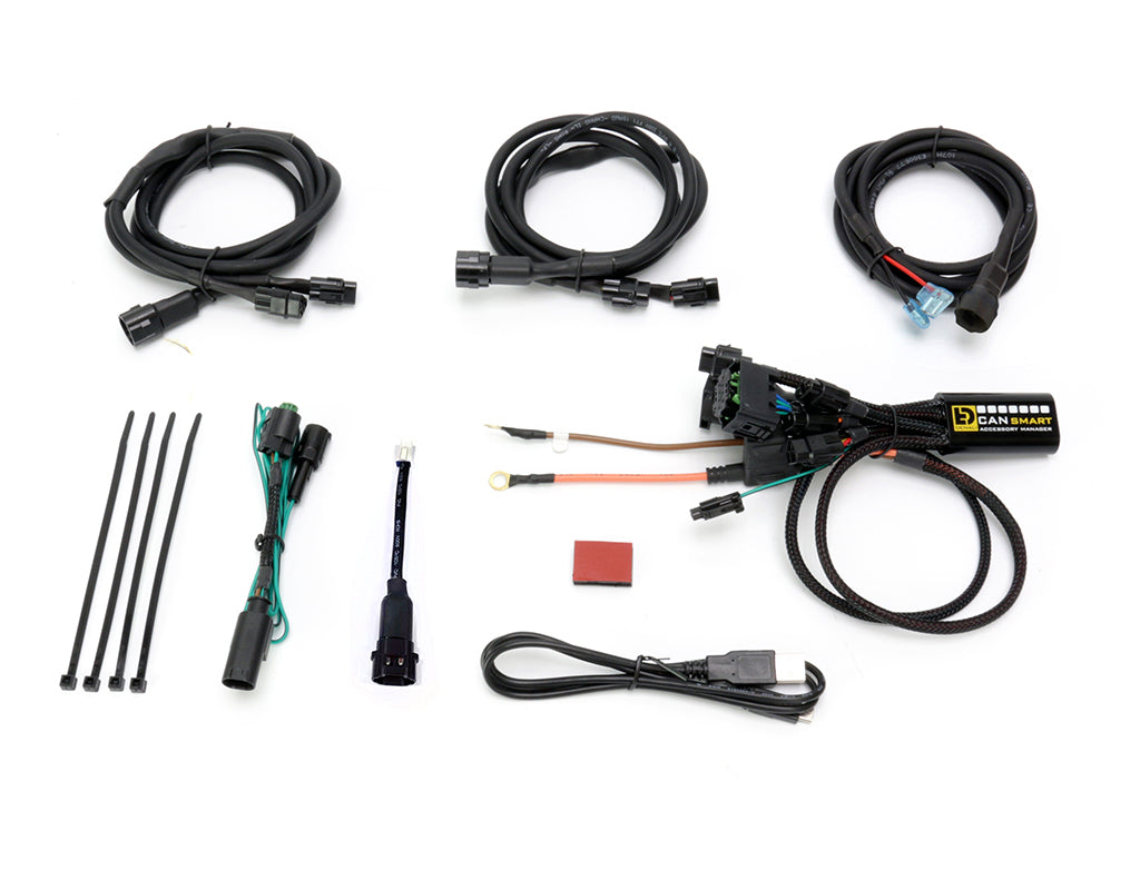 DENALI CANsmart™ Controller for BMW R1200 Hex Head Series