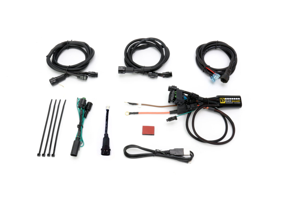DENALI CANsmart™ Controller for BMW F800, F700, F650, K1200GT, K1300GT & K1300S Series